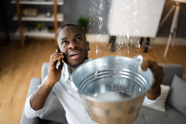Best Ceiling water damage repair  in Roeland Park, KS