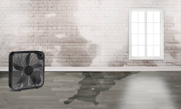 Best Commercial water damage restoration  in Roeland Park, KS
