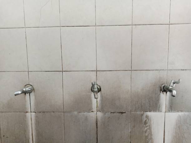 Best Water damage restoration near me  in Roeland Park, KS