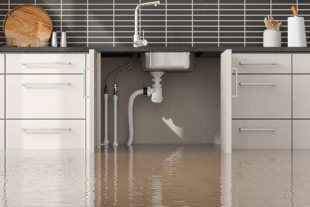 Best 24/7 water damage repair  in Roeland Park, KS