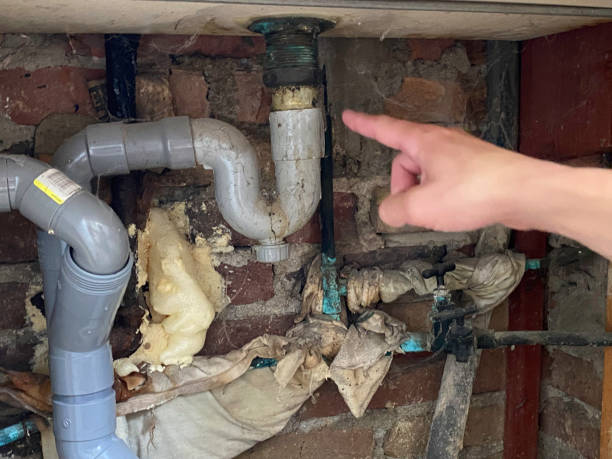 Best Water damage restoration services  in Roeland Park, KS