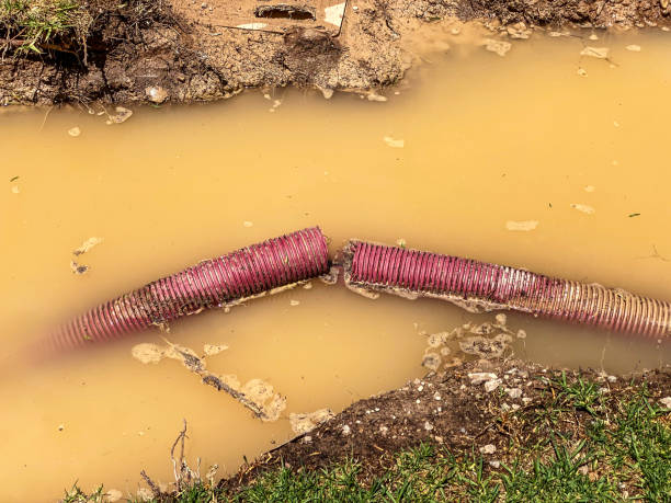 Local water damage restoration in KS