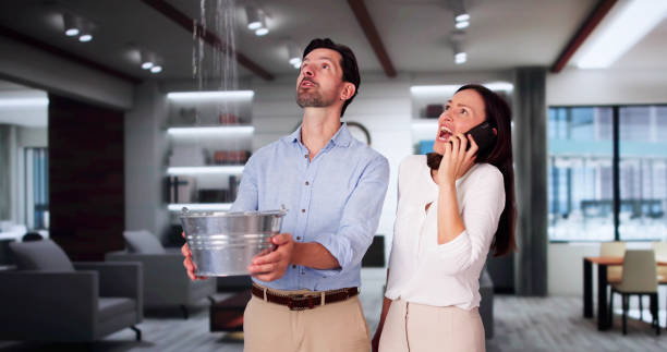 Best Flooded house restoration  in Roeland Park, KS
