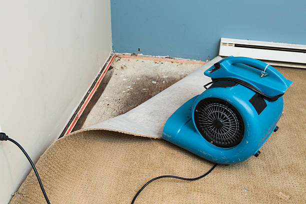 Carpet water damage restoration in KS